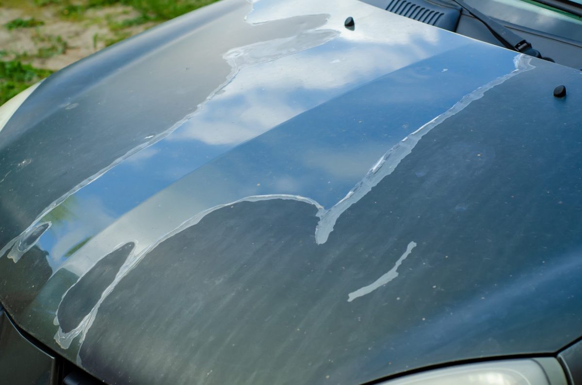 how to protect car paint from the sun
